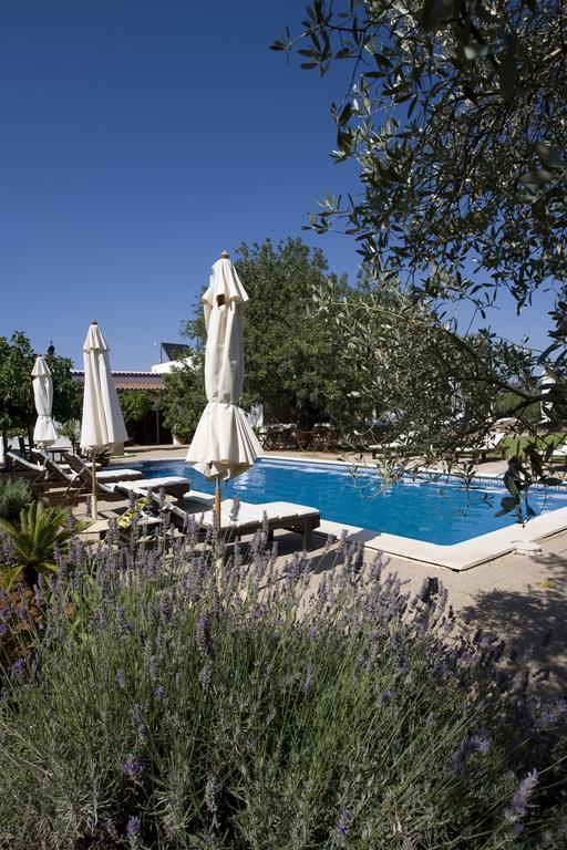 Agroturismo Sa Vinya D'En Palerm Сан-Мигель-де-Балан Экстерьер фото